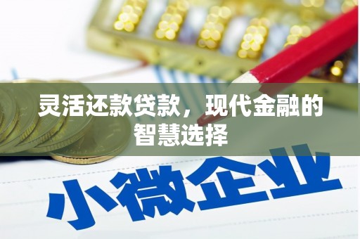 遂宁灵活还款贷款，现代金融的智慧选择