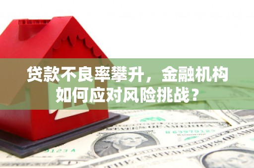 遂宁贷款不良率攀升，金融机构如何应对风险挑战？