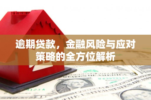 遂宁逾期贷款，金融风险与应对策略的全方位解析