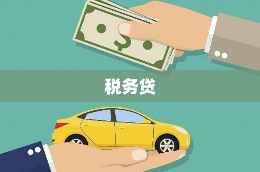 遂宁税务贷