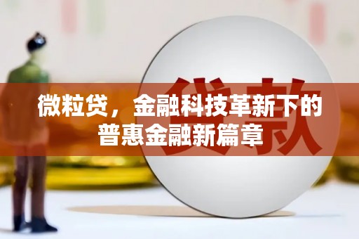 遂宁微粒贷，金融科技革新下的普惠金融新篇章