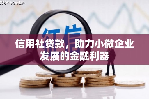 遂宁信用社贷款，助力小微企业发展的金融利器