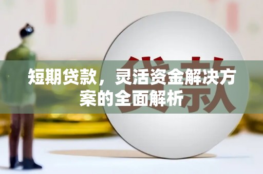 遂宁短期贷款，灵活资金解决方案的全面解析