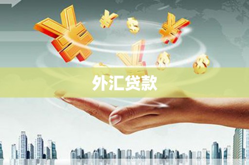 遂宁外汇贷款