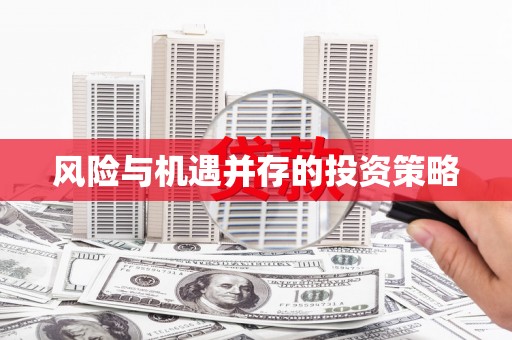遂宁风险与机遇并存的投资策略