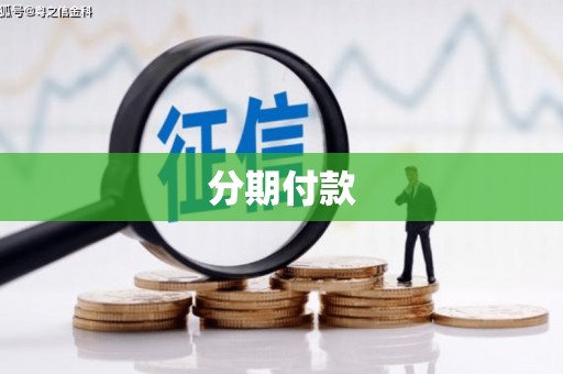 遂宁分期付款