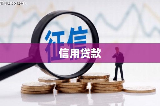 遂宁信用贷款