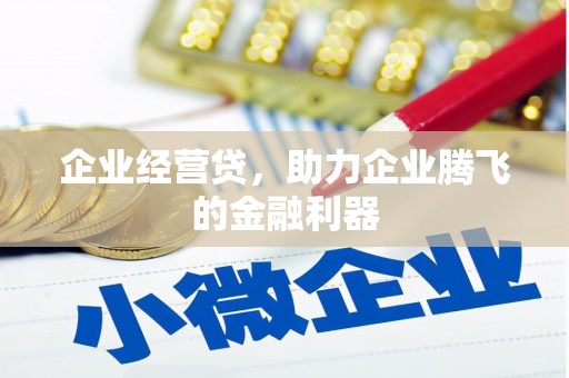 遂宁企业经营贷，助力企业腾飞的金融利器