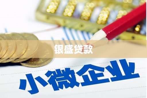 遂宁银盛贷款