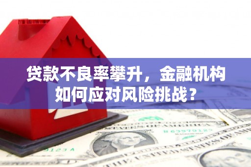 遂宁贷款不良率攀升，金融机构如何应对风险挑战？