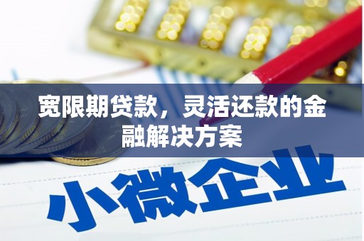 遂宁宽限期贷款，灵活还款的金融解决方案