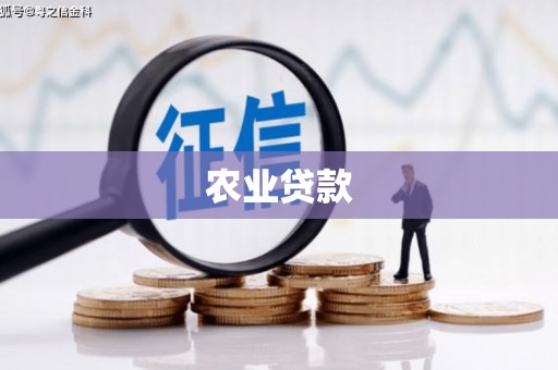 遂宁农业贷款