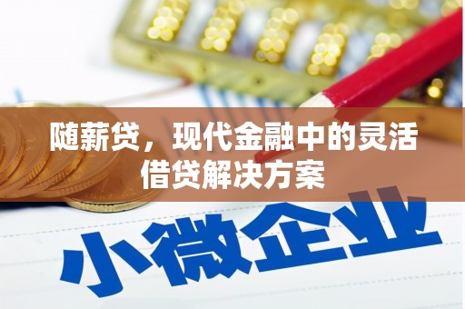 遂宁随薪贷，现代金融中的灵活借贷解决方案