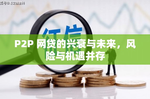 遂宁P2P 网贷的兴衰与未来，风险与机遇并存