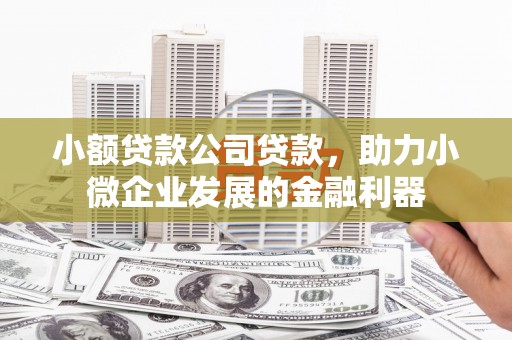 遂宁小额贷款公司贷款，助力小微企业发展的金融利器