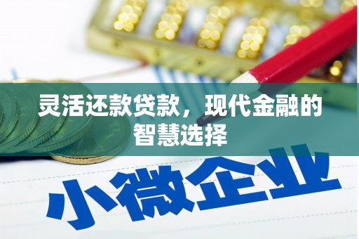 遂宁灵活还款贷款，现代金融的智慧选择