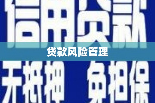 遂宁贷款风险管理