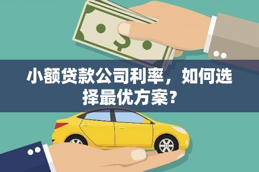 遂宁小额贷款公司利率，如何选择最优方案？
