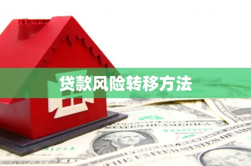 遂宁贷款风险转移方法