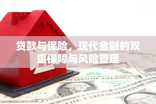 遂宁贷款与保险，现代金融的双重保障与风险管理