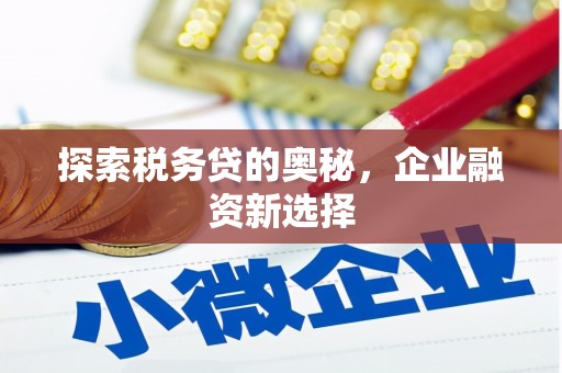 遂宁探索税务贷的奥秘，企业融资新选择