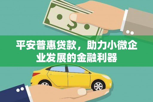 遂宁平安普惠贷款，助力小微企业发展的金融利器