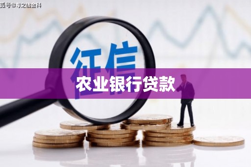 遂宁农业银行贷款