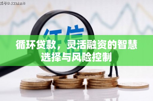遂宁循环贷款，灵活融资的智慧选择与风险控制