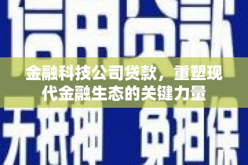 遂宁金融科技公司贷款，重塑现代金融生态的关键力量