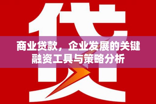 遂宁商业贷款，企业发展的关键融资工具与策略分析