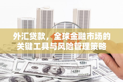 遂宁外汇贷款，全球金融市场的关键工具与风险管理策略