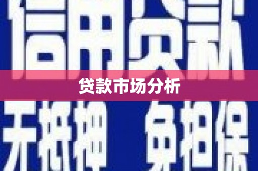 遂宁贷款市场分析