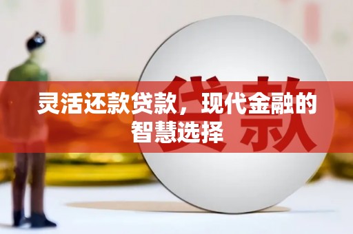 遂宁灵活还款贷款，现代金融的智慧选择