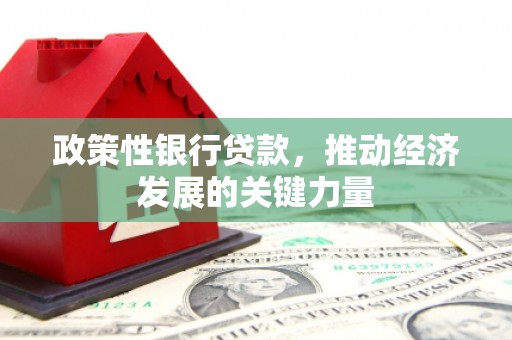 遂宁政策性银行贷款，推动经济发展的关键力量