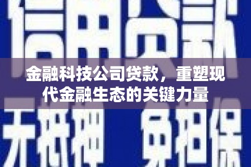 遂宁金融科技公司贷款，重塑现代金融生态的关键力量