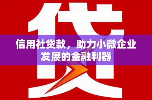 遂宁信用社贷款，助力小微企业发展的金融利器
