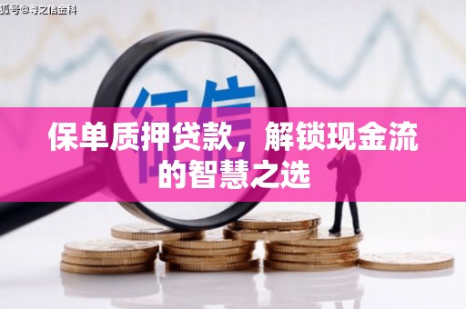 遂宁保单质押贷款，解锁现金流的智慧之选