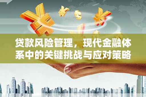 遂宁贷款风险管理，现代金融体系中的关键挑战与应对策略