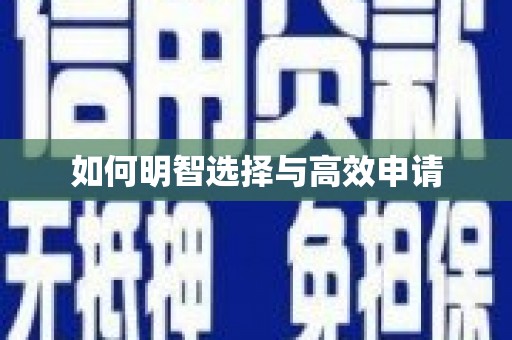 遂宁如何明智选择与高效申请