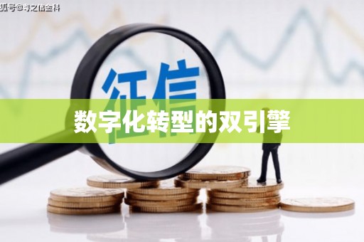 遂宁数字化转型的双引擎