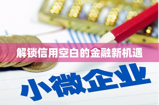 遂宁解锁信用空白的金融新机遇