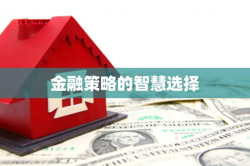 遂宁金融策略的智慧选择