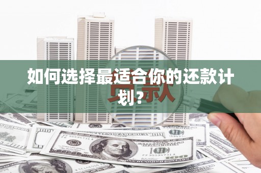 遂宁如何选择最适合你的还款计划？