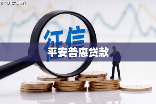遂宁平安普惠贷款