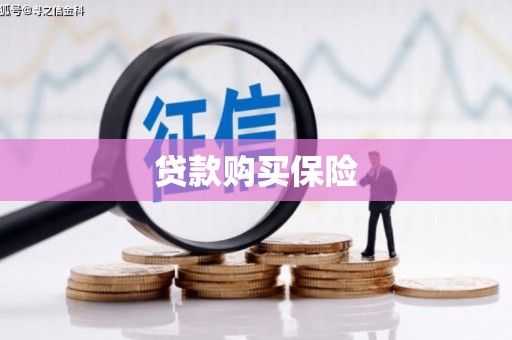 遂宁贷款购买保险