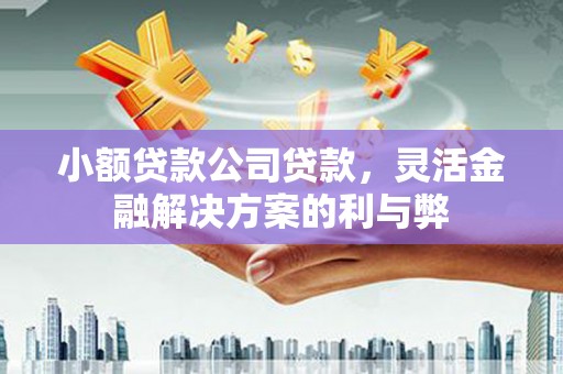 遂宁小额贷款公司贷款，灵活金融解决方案的利与弊
