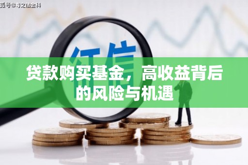 遂宁贷款购买基金，高收益背后的风险与机遇